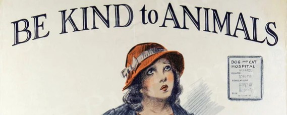 8 mars : les femmes qui font évoluer le secteur animalier