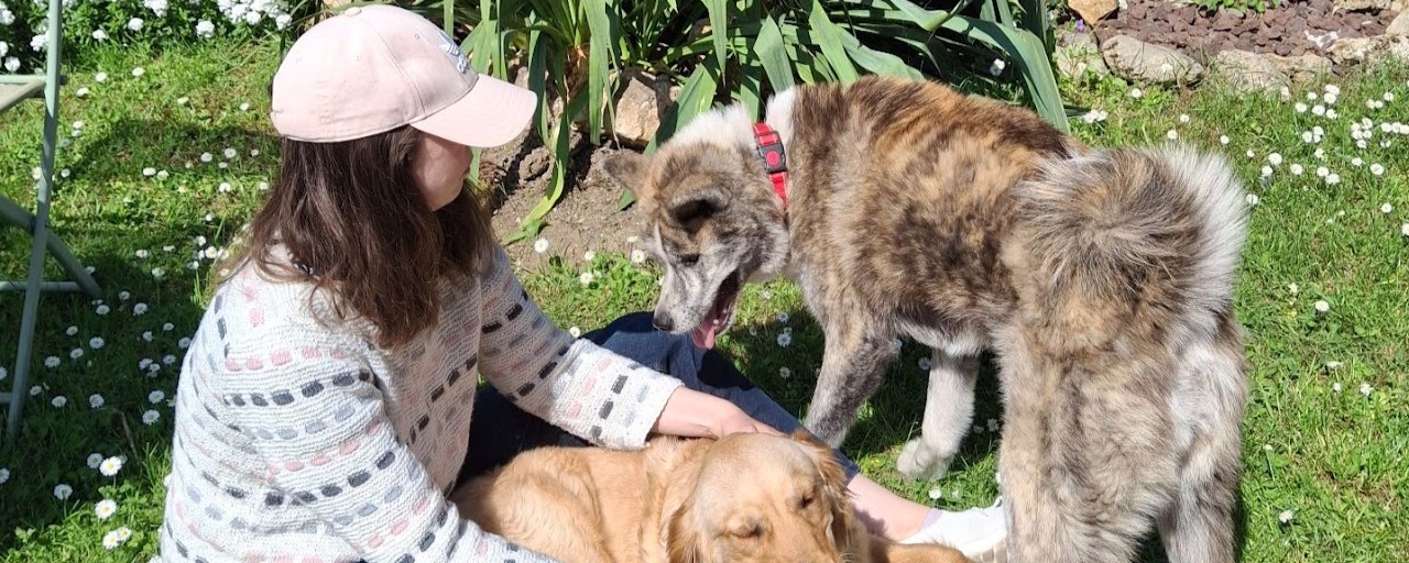 Garde d’animaux d’Aliénor : passion, respect et confiance au cœur du pet sitting