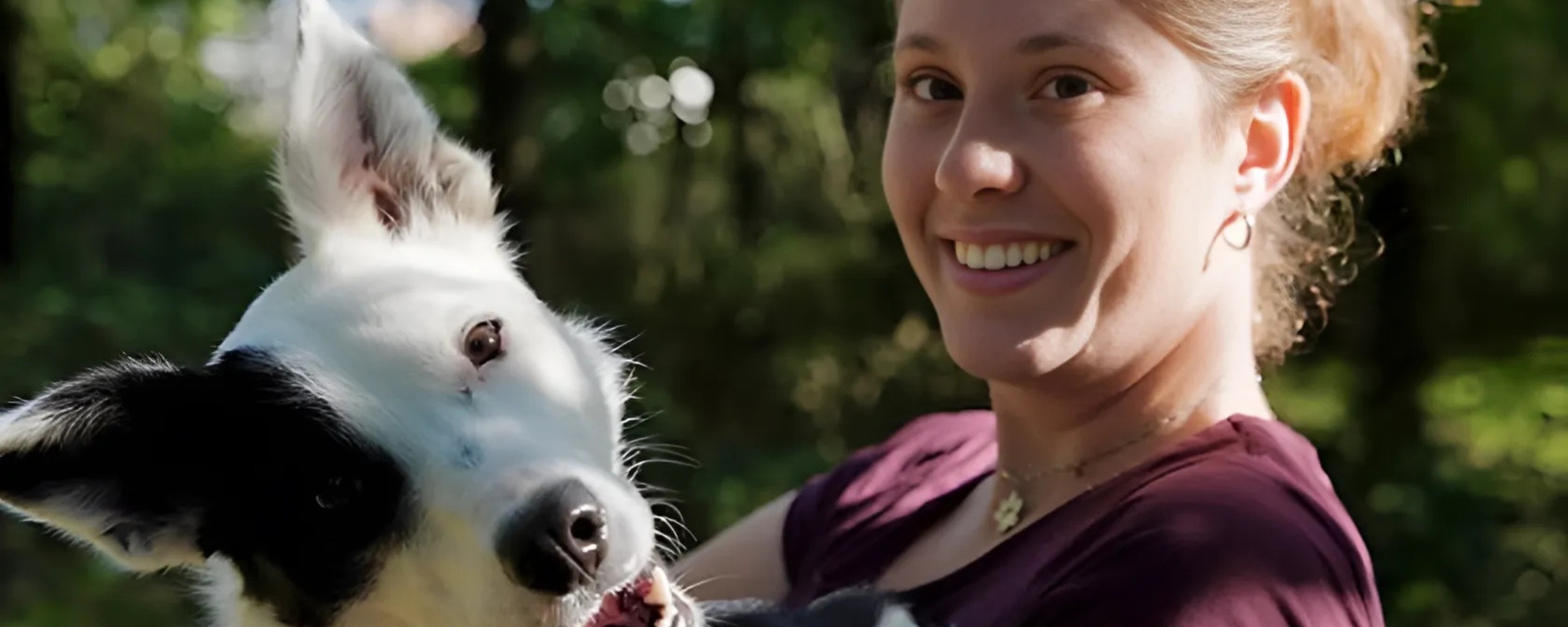 Centre Canin Arwen LSF : un lieu unique pour l’éducation et le bien-être des chiens en Alsace