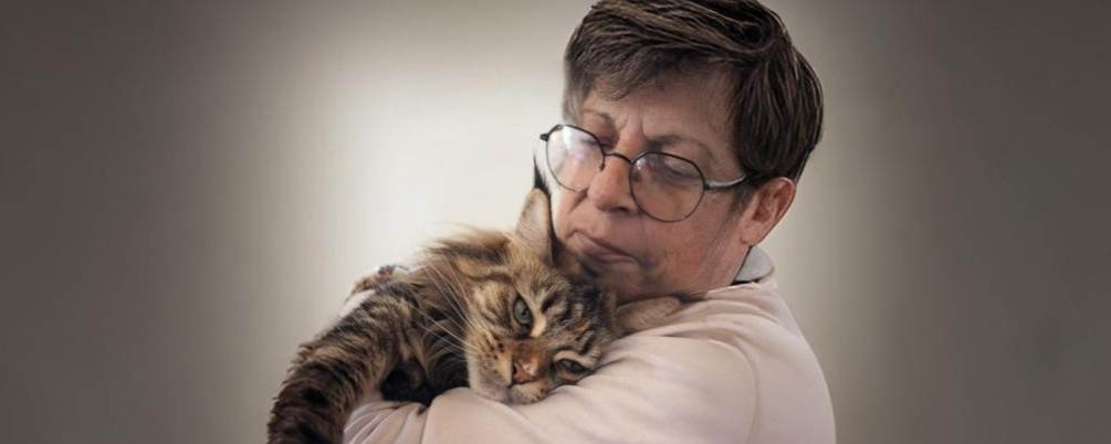 À la rencontre d’Edwige, éleveuse passionnée de Maine Coon