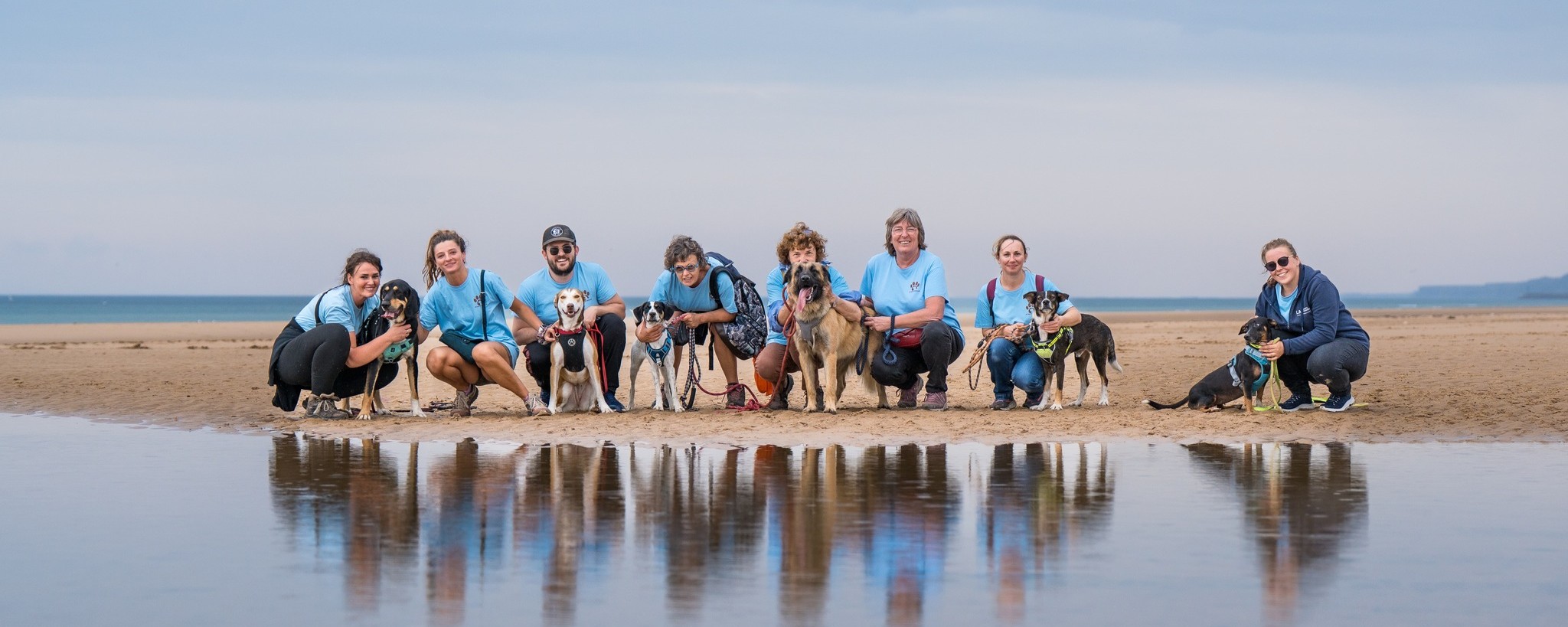 Refuge de Castillon : adoptions responsables et Toutou Run 2025