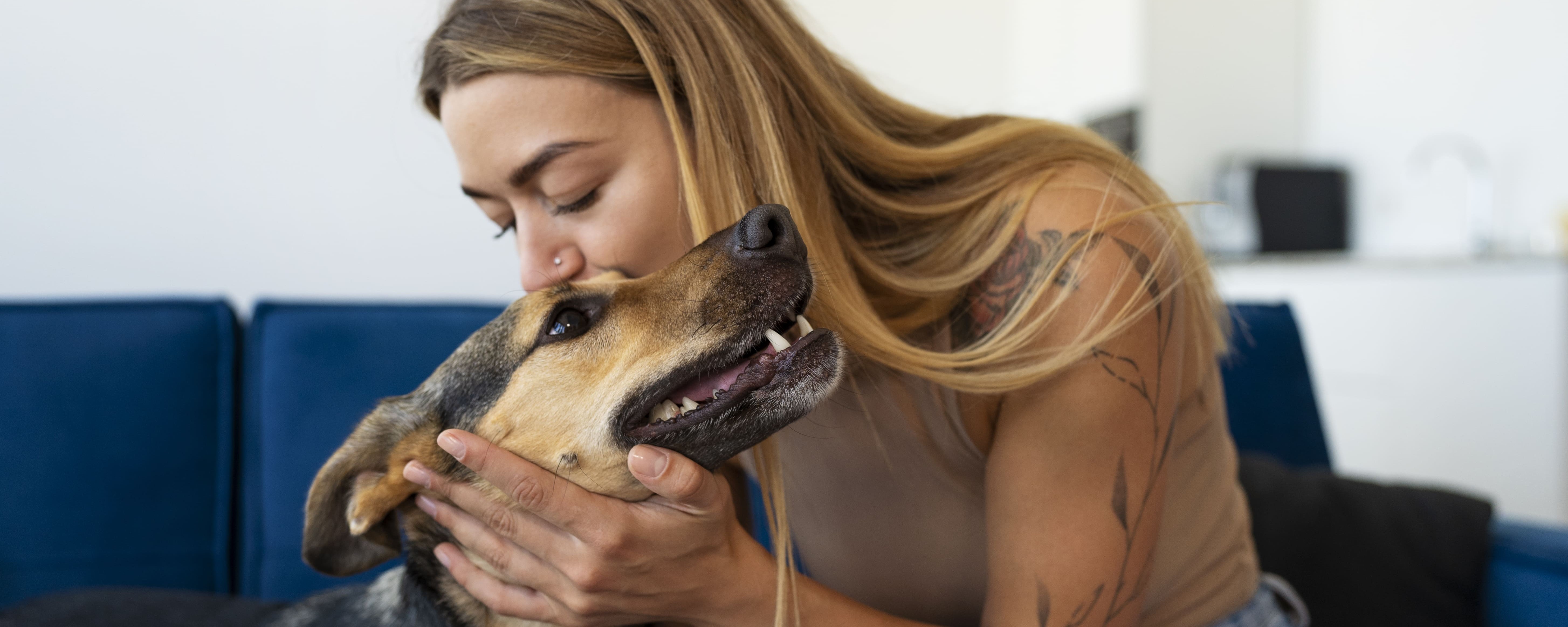 L’assurance santé animale : pourquoi c’est utile et quand y penser ?