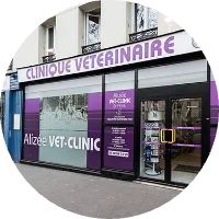 Alizee Vet Clinique