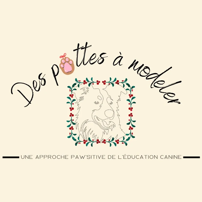 Des pattes à modeler