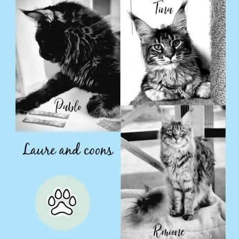 Laure and Coons