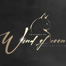 chatterie du wind of coon