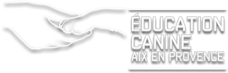 EDUCATION CANINE AIX EN PROVENCE