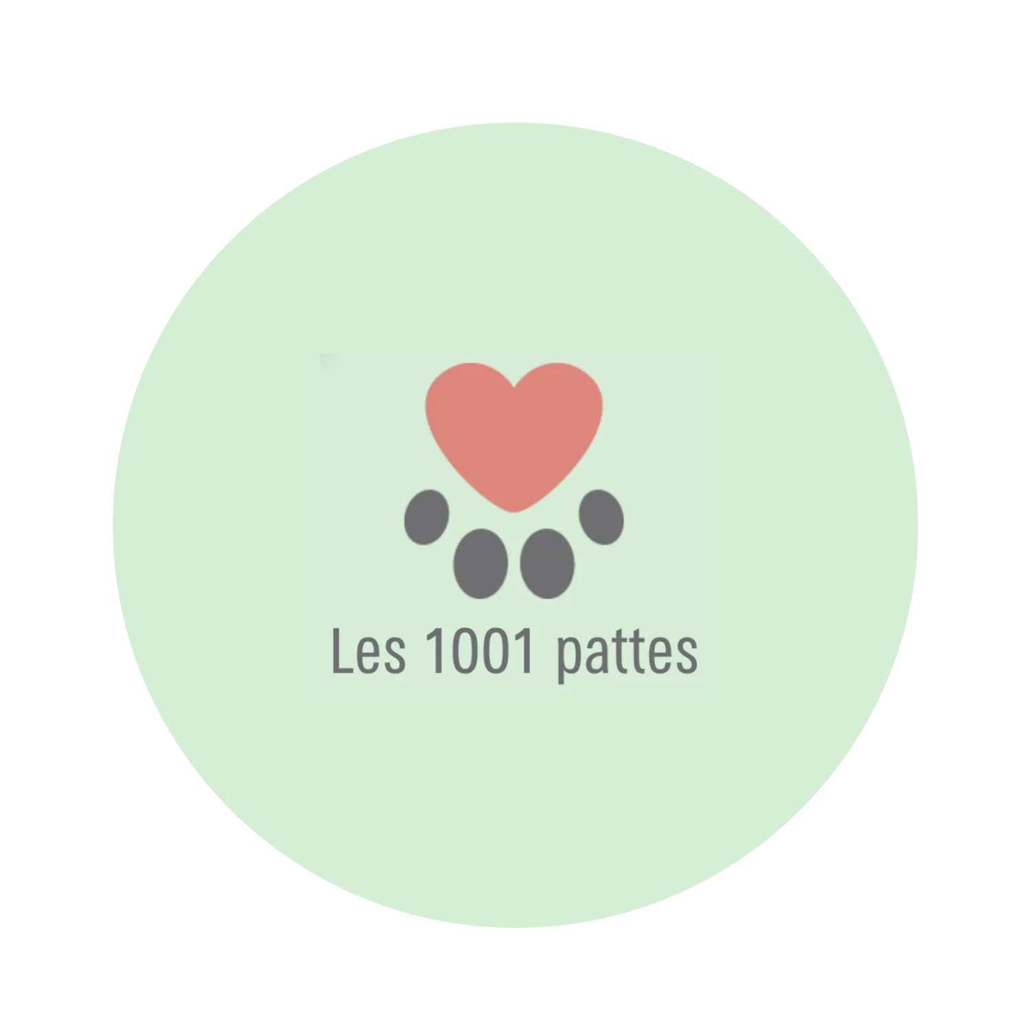Les 1001 pattes
