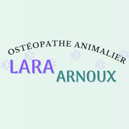 Lara Arnoux Ostéopathe Animalier