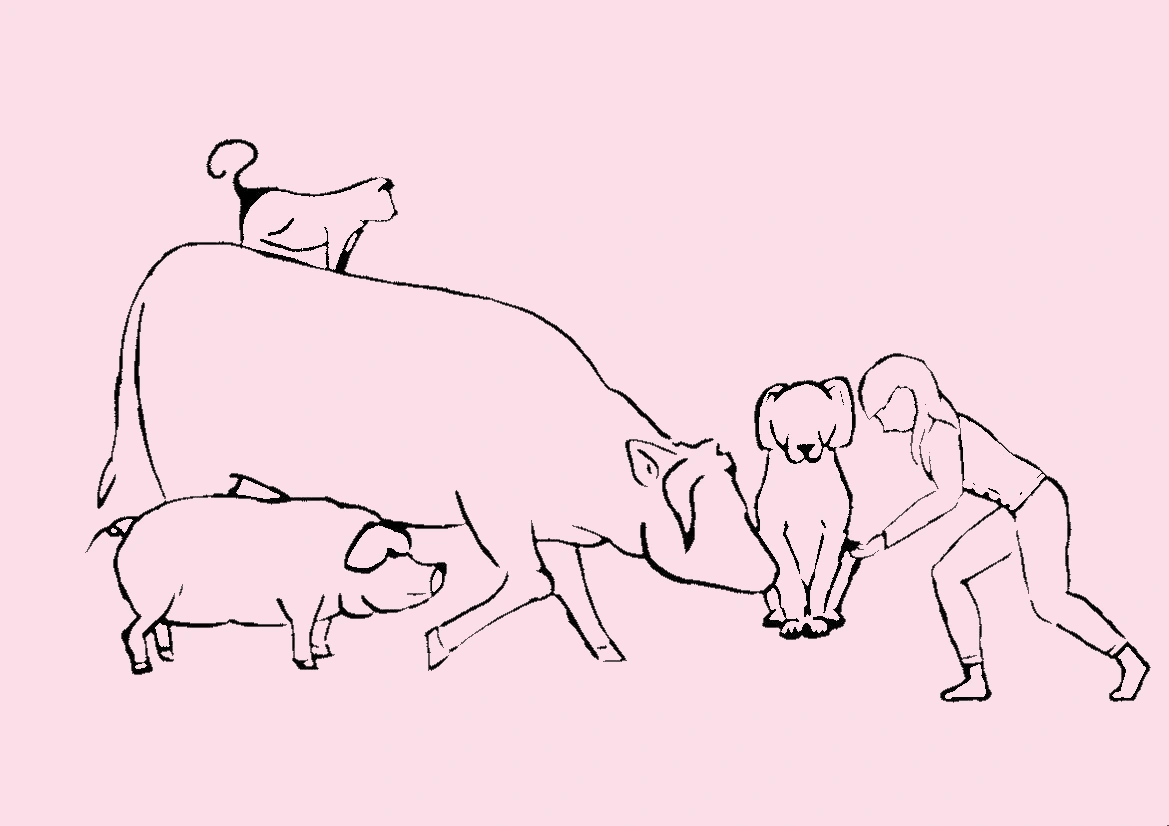 Noémie Bourgeais - Ostéopathe animalière