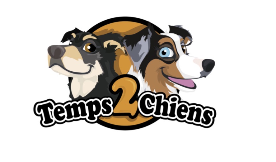 Temps 2 chien