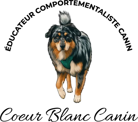 Education canine Coeur blanc canin
