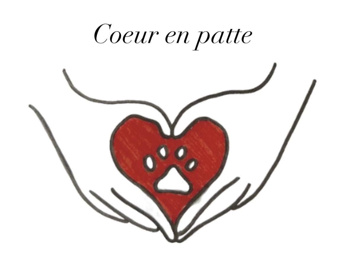 COEUR EN PATTE