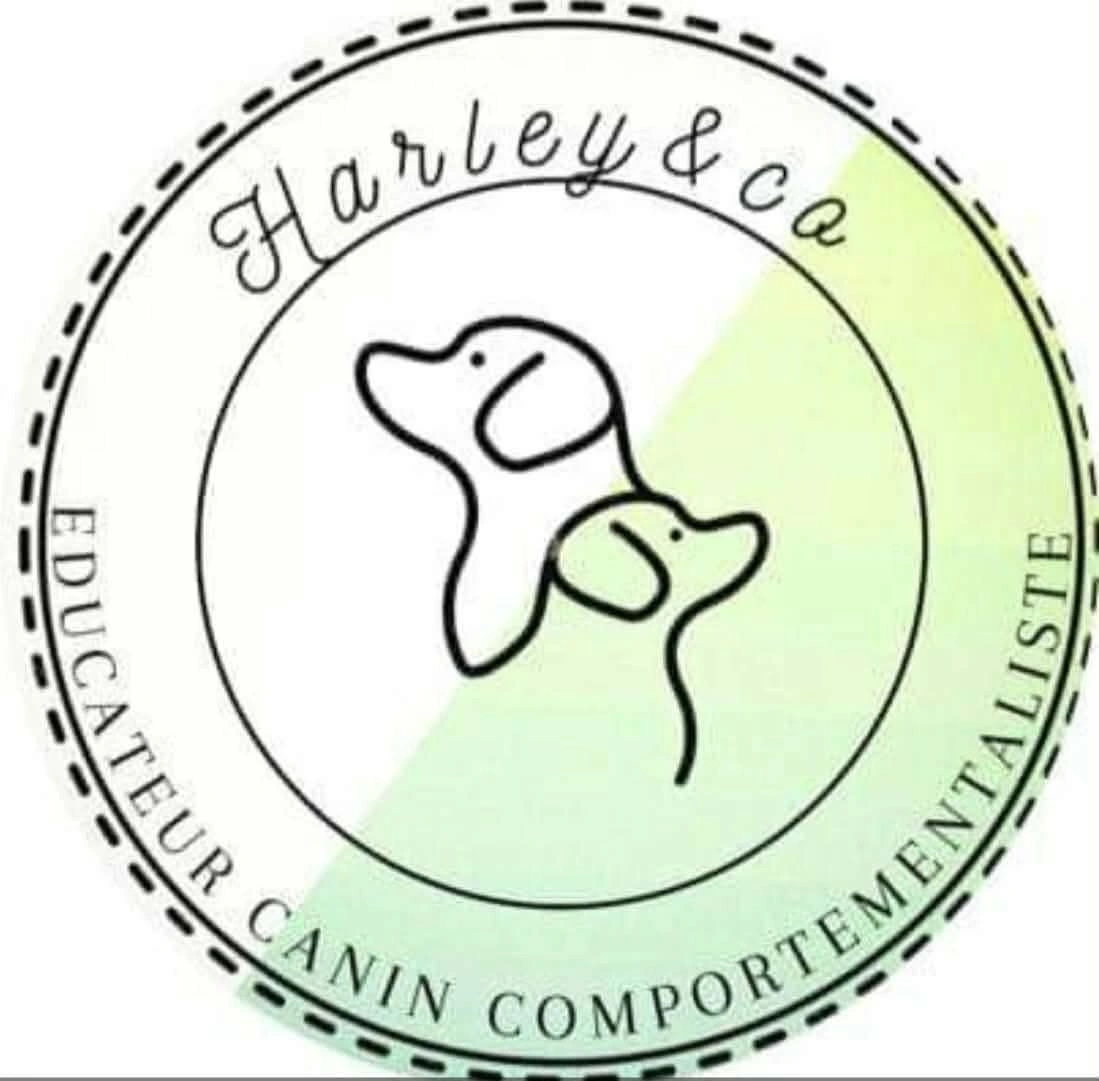 Harley&co
