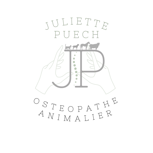 Juliette PUECH - Ostéopathe Animalier
