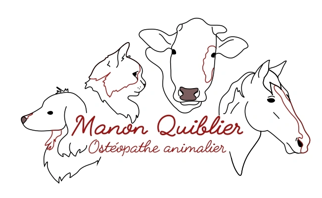Manon Quiblier ostéopathe animalier