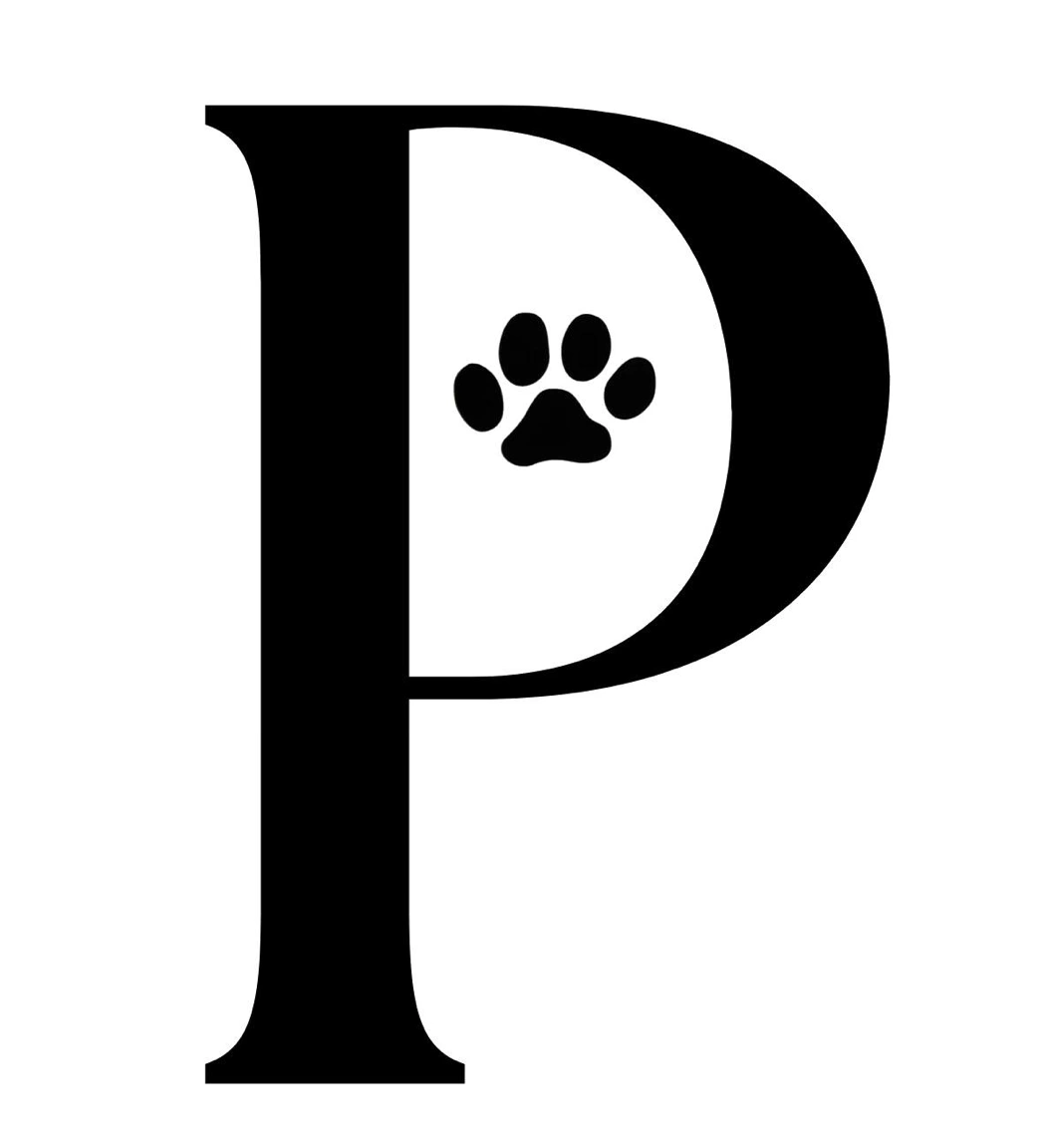 Pattes Assises
