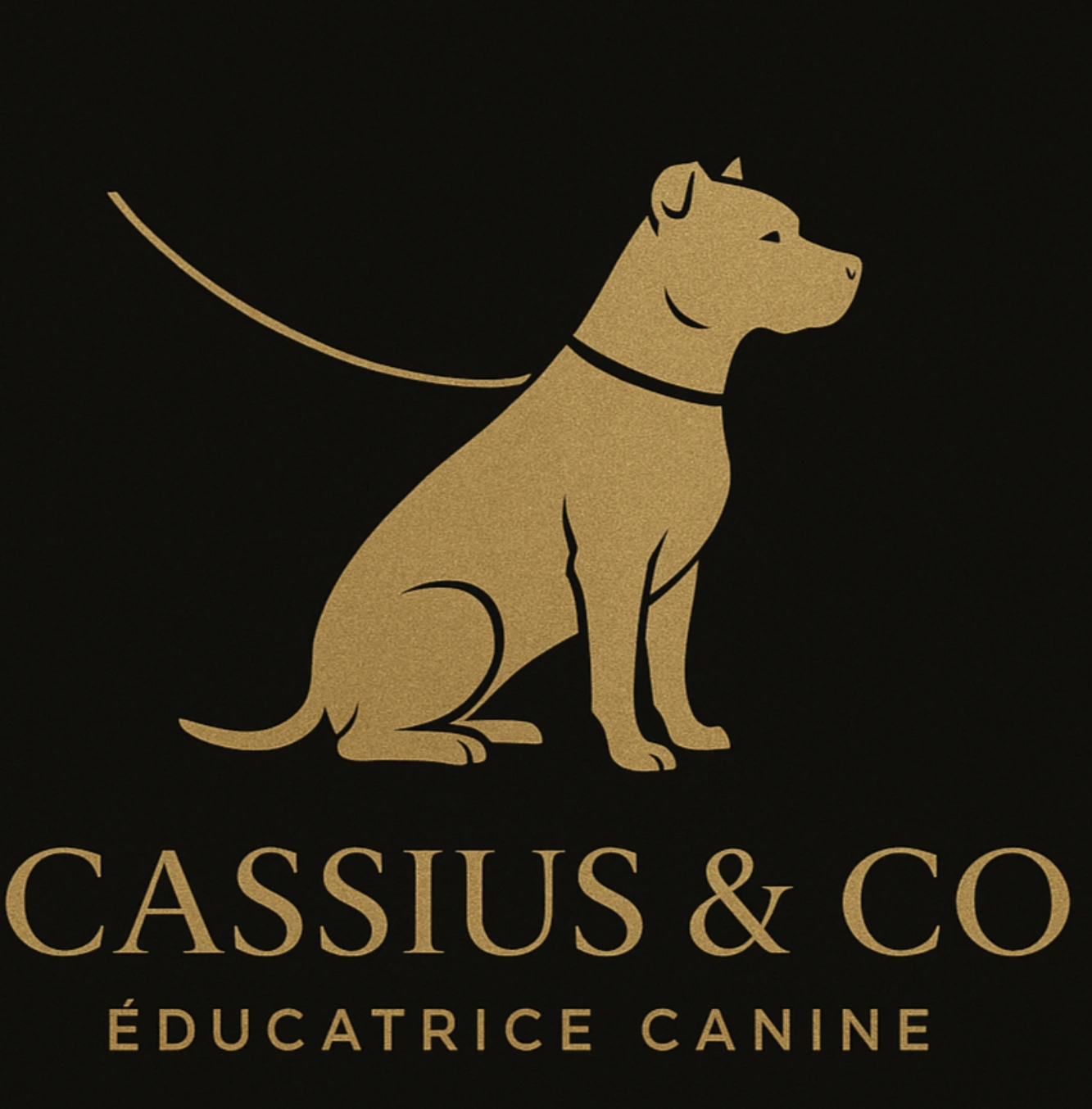 Cassius&Co