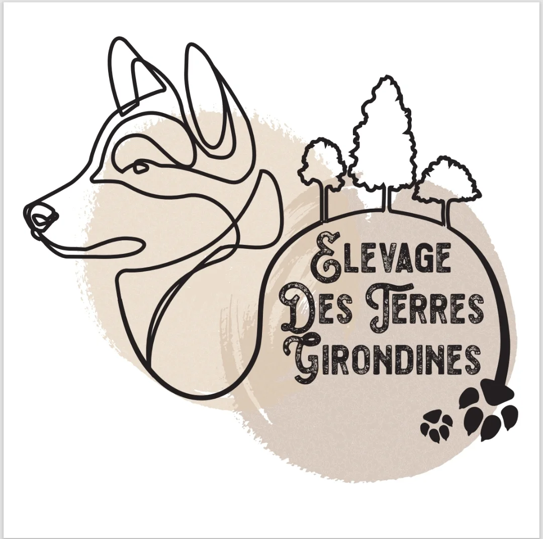 Elevage des terres Girondines