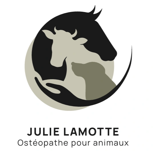 Julie Lamotte - Ostéopathe pour animaux