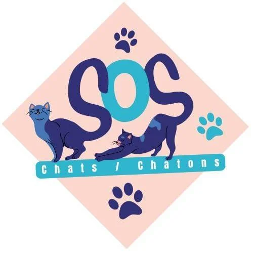SOS CHATS CHATONS