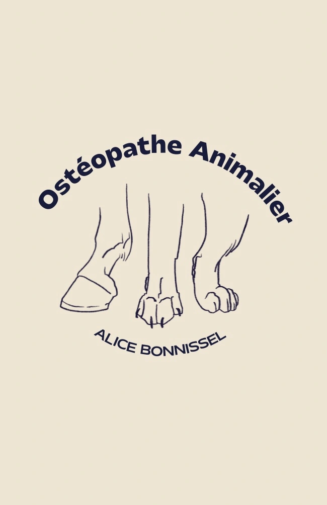 Ostéopathe Animalier Alice Bonnissel OA1343