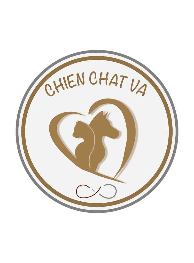 CHIENCHATVA