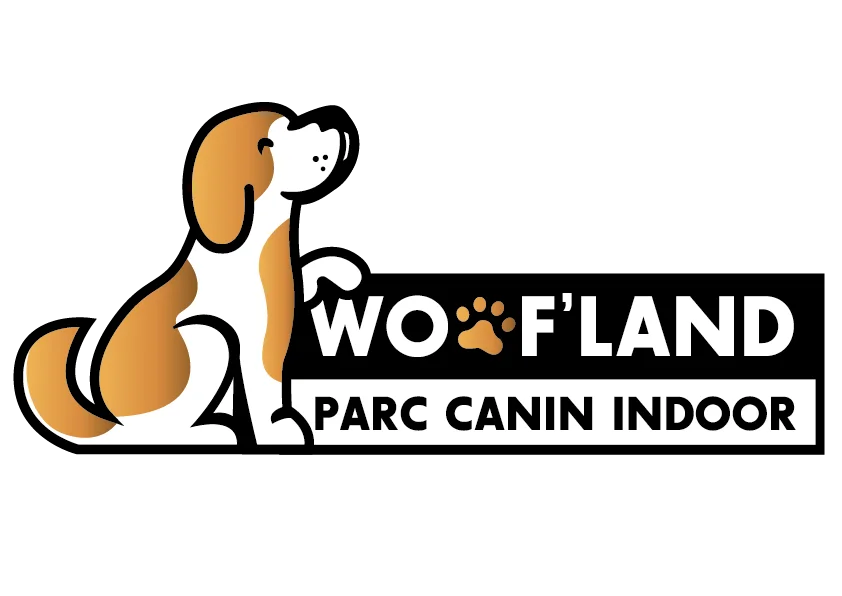 Woof'Land - Parc Canin Indoor