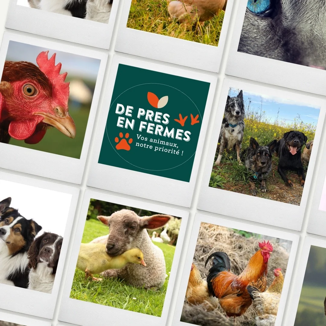 De prés en fermes