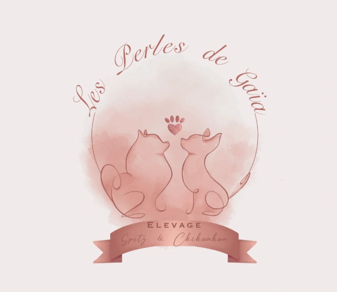 les perles de gaïa