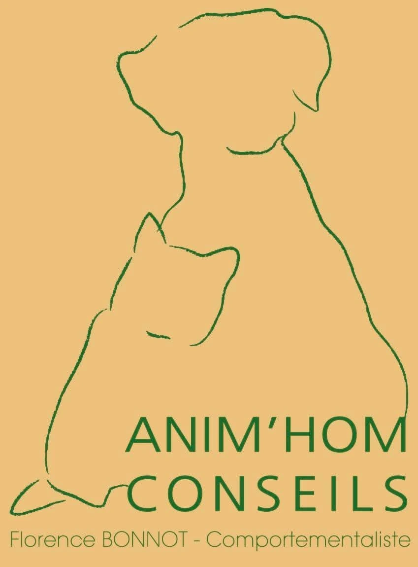 Animhomconseils
