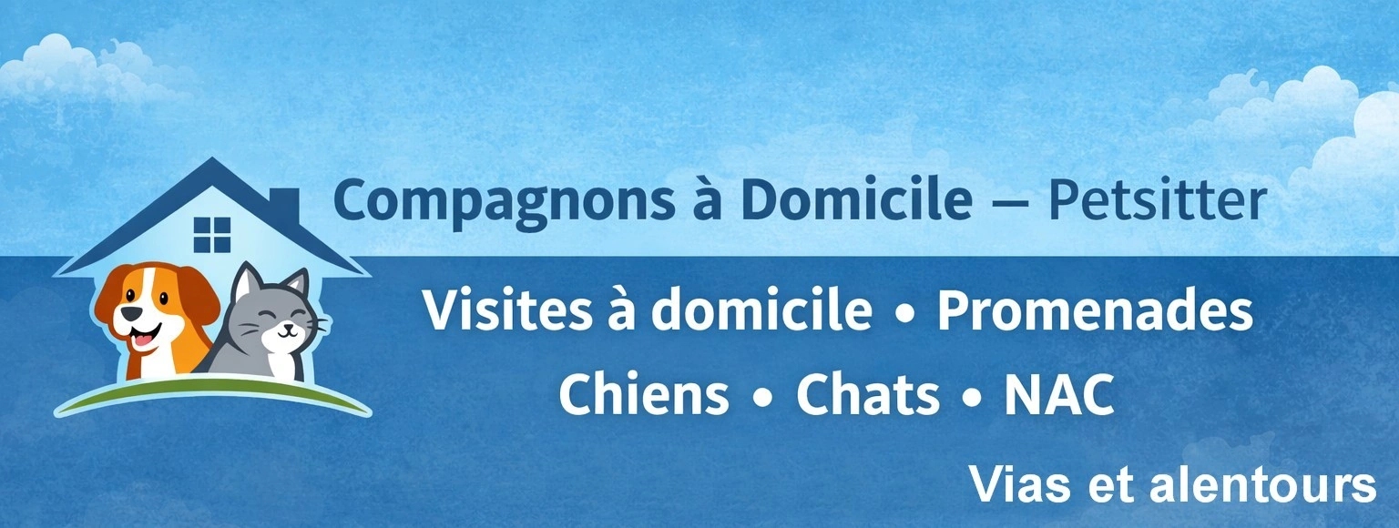 Compagnons à domicile