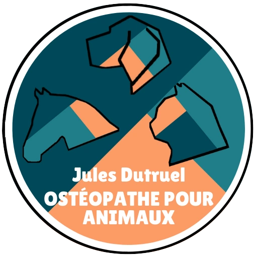 Jules Dutruel Ostéopathe pour Animaux