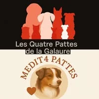 LES QUATRE PATTES DE LA GALAURE