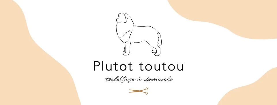 plutot toutou, toilettage à domicile 42