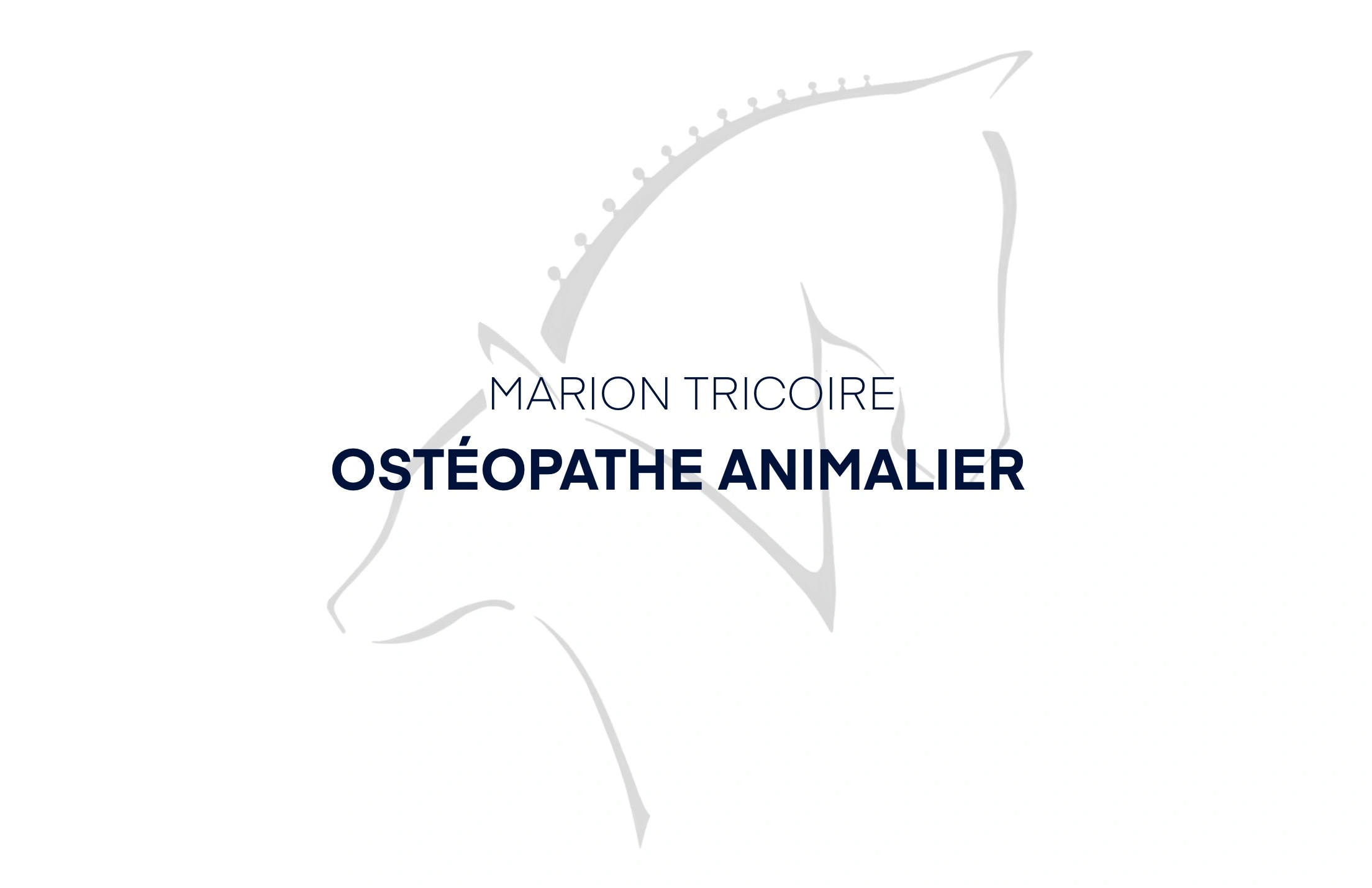 MARION TRICOIRE (MARION TRICORE OSTEOPATHE ANIMALIER)