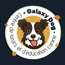Galaxy dog