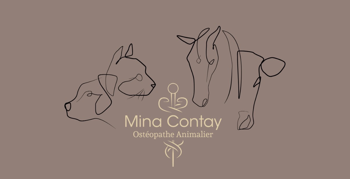 Mina contay | Ostéopathe animalier