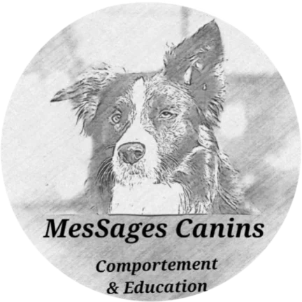 Messages Canins - Educateur comportementaliste canin & Kinésiologue animalier