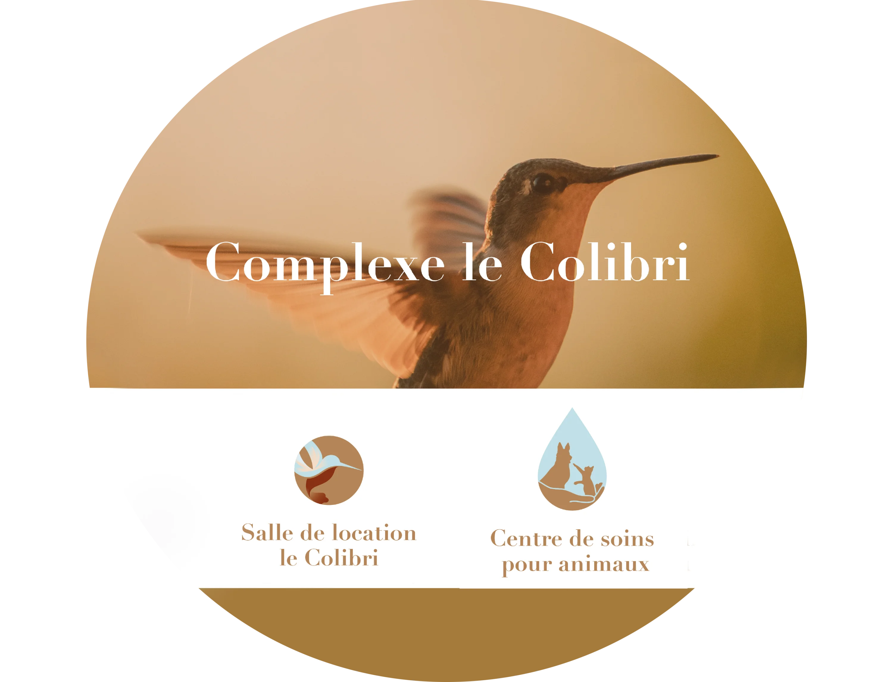 Complexe le colibri