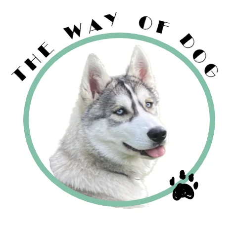 The way of dog - Education canine