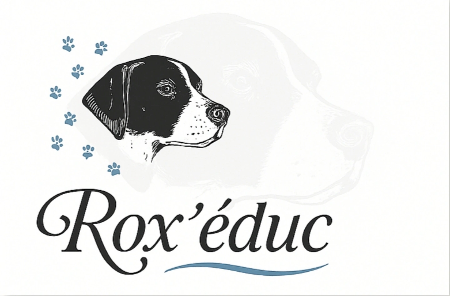 Rox'Educ - Éducateur canin comportementaliste diplômé d'état