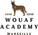 Wouaf Academy