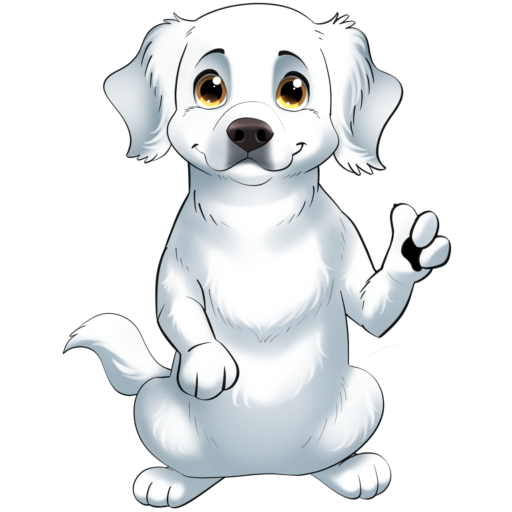 Bien dans nos pattes - Pension canine familiale et éducation