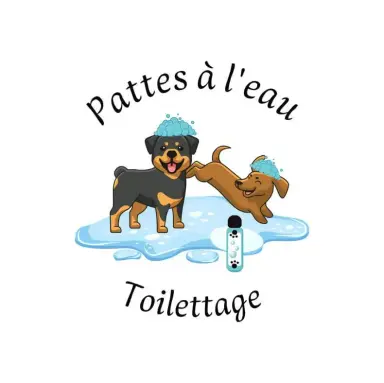 Pattes à l'eau