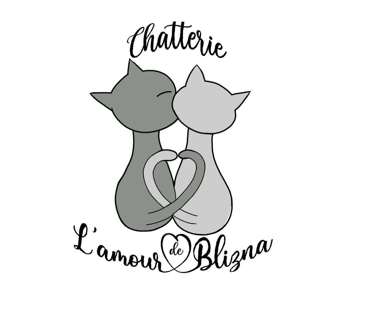 Chatterie l'Amour de Blizna British shorthair et longhair