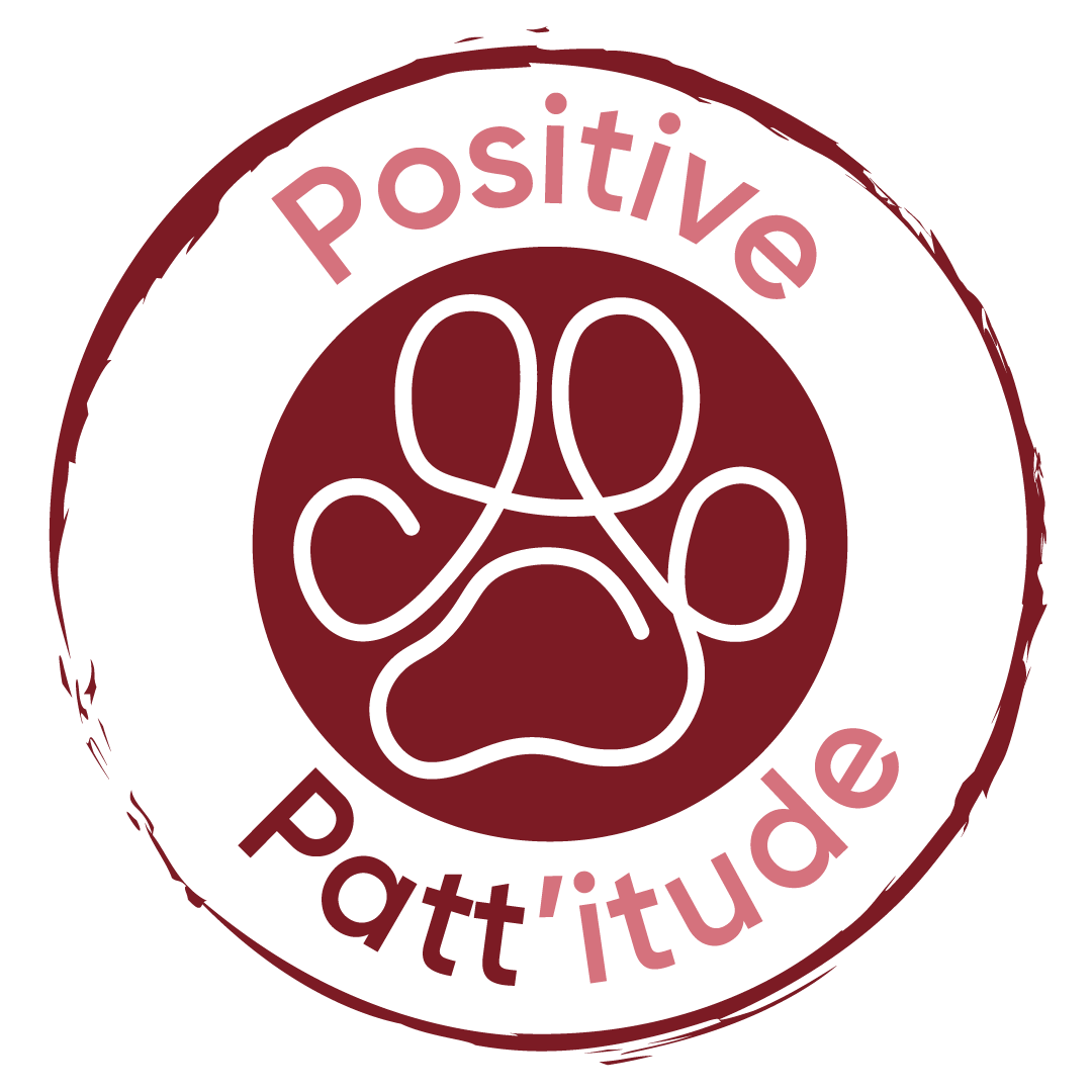 positive pattitude