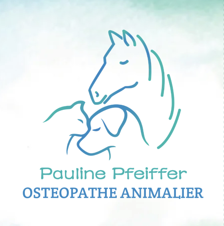 Pauline Pfeiffer - Ostéopathe Animalier