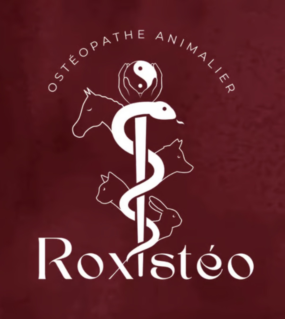 Rox’steo