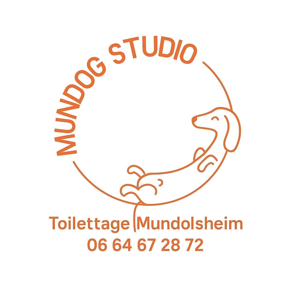 mundog studio